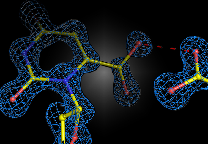 Snapshot of enzyme reaction