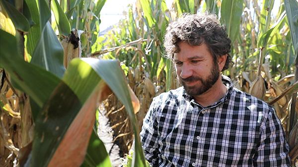 Daren Mueller in corn field