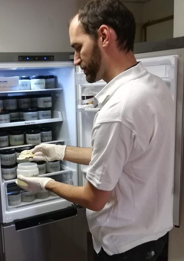 Pet dog brain banking supports aging research