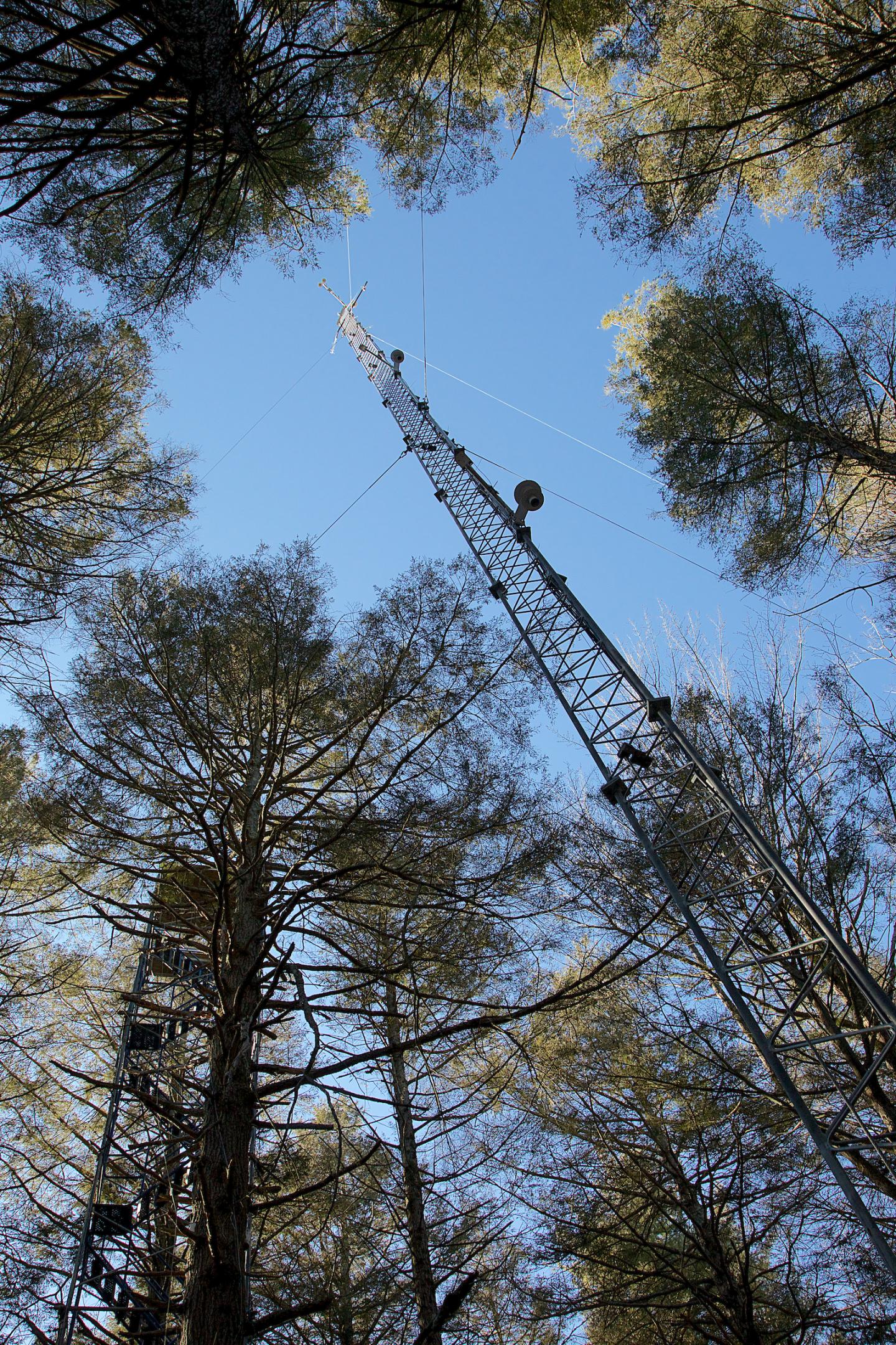 Eddy-flux Tower