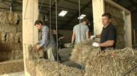 BaleHaus at Bath: University to Build a House of Straw Bales on Campus