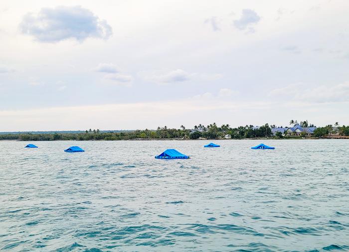 Title pic: Five Floating Coral Kindergartens (CRIB)