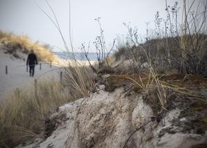 New algae species at the coast of the Baltic Sea