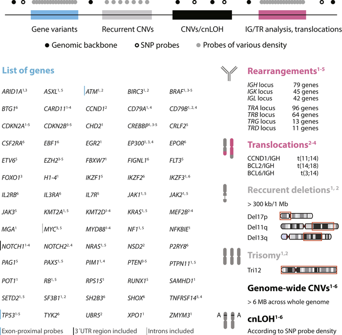 New versatile genetic test for lymphoid neoplasms supports personalized management of patients and further research