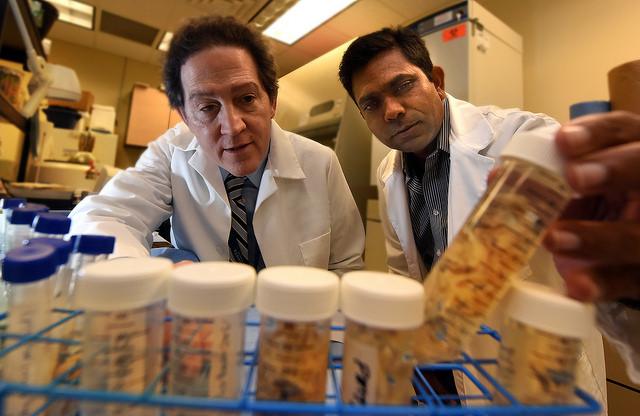 Monte Hunter and Sadanand Fulzele, Medical College of Georgia at Augusta University