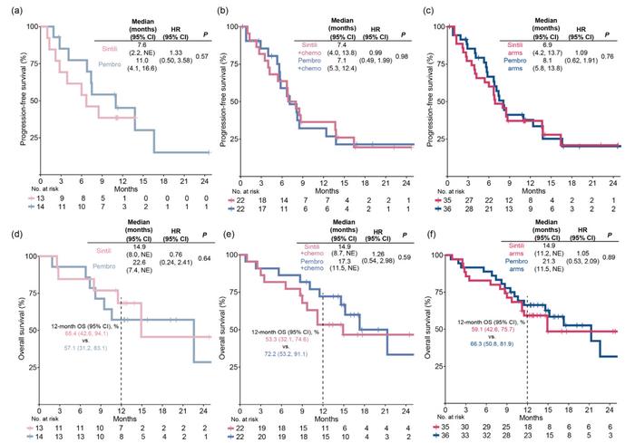 Kaplan-Meier estimates of progression-free survival and overall survival