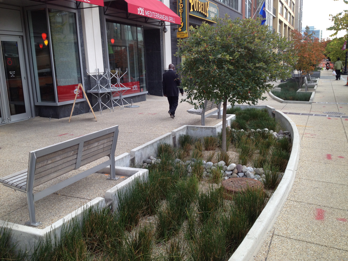 Bioswale at 1st + M Street NE, Washington, DC.