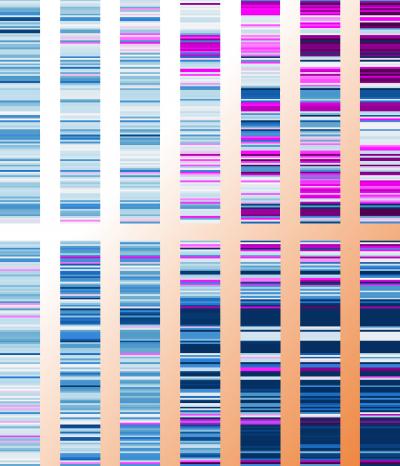 A Complex Genetic Network Controls Whether Fruit Flies Need to Sleep in