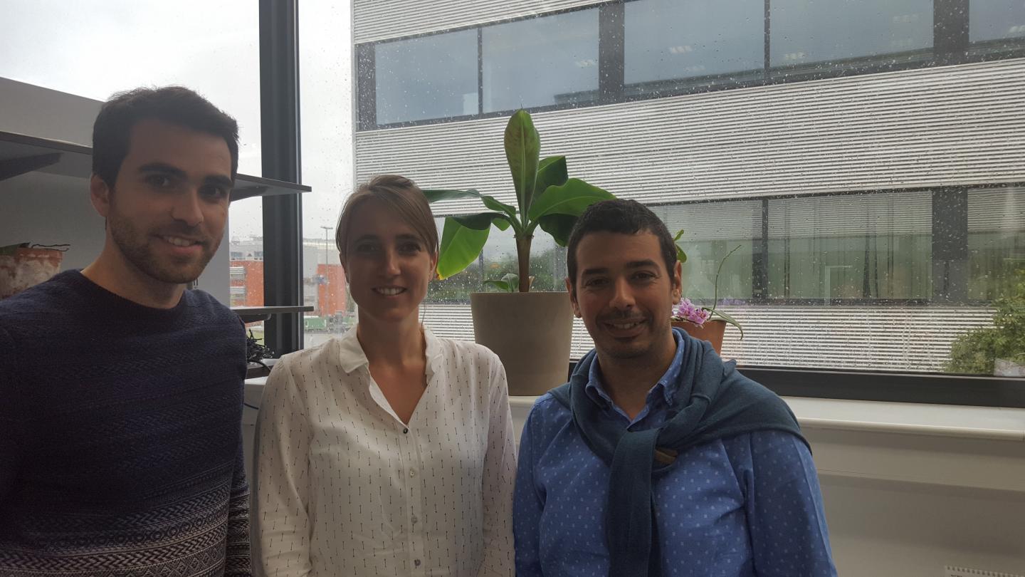 Daniel Jim&eacute;nez Fern&aacute;ndez, Lieselotte Vande Walle, Mo Lamkanfi (VIB/UGent)