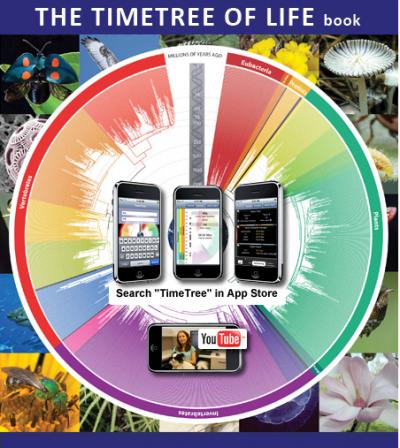 'TimeTree' Application (1 of 2)