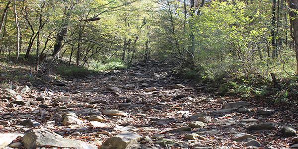 Pigeon Creek in the Ouachita National Forest in Southeast Oklahoma