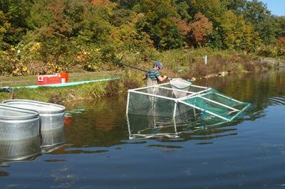 Population’s Future on the Line