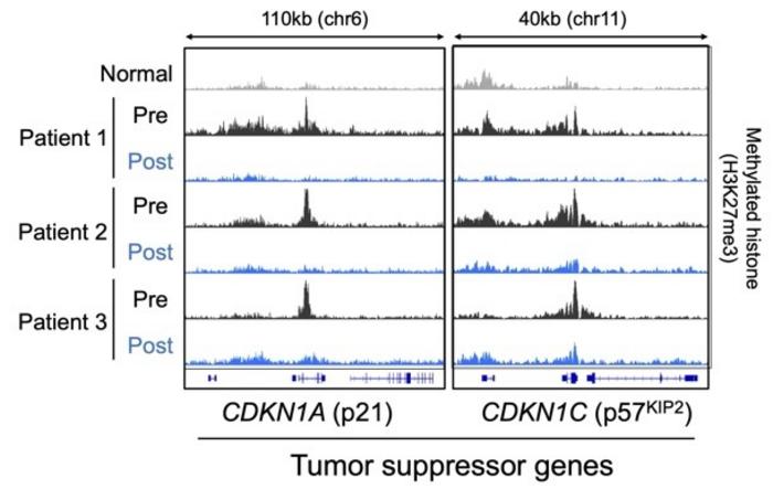 Reactivation of tumor suppressor genes by valemetostat