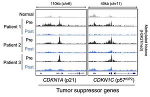 Reactivation of tumor suppressor genes by valemetostat