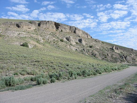 Large Volcanic Eruption May Have Caused the First Mass Extinction 3