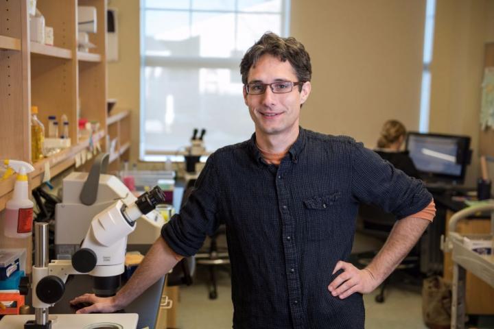 Jarod A. Rollins, MDI Biological Laboratory