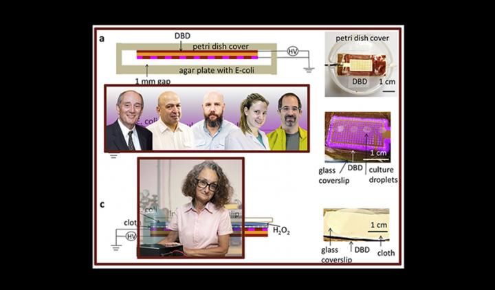 Authors of paper in Scientific Reports