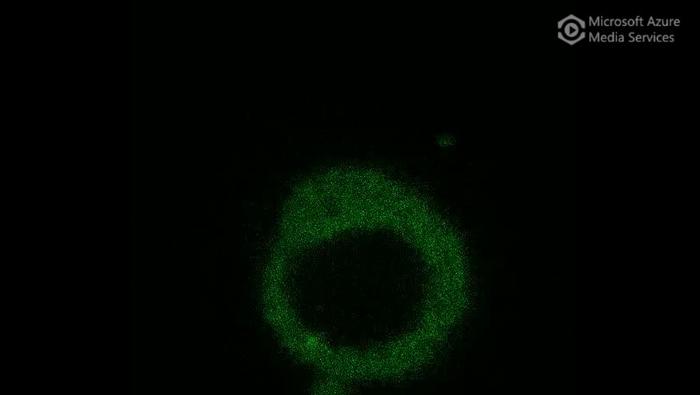 Nanoscale 3D scan of protein condensate