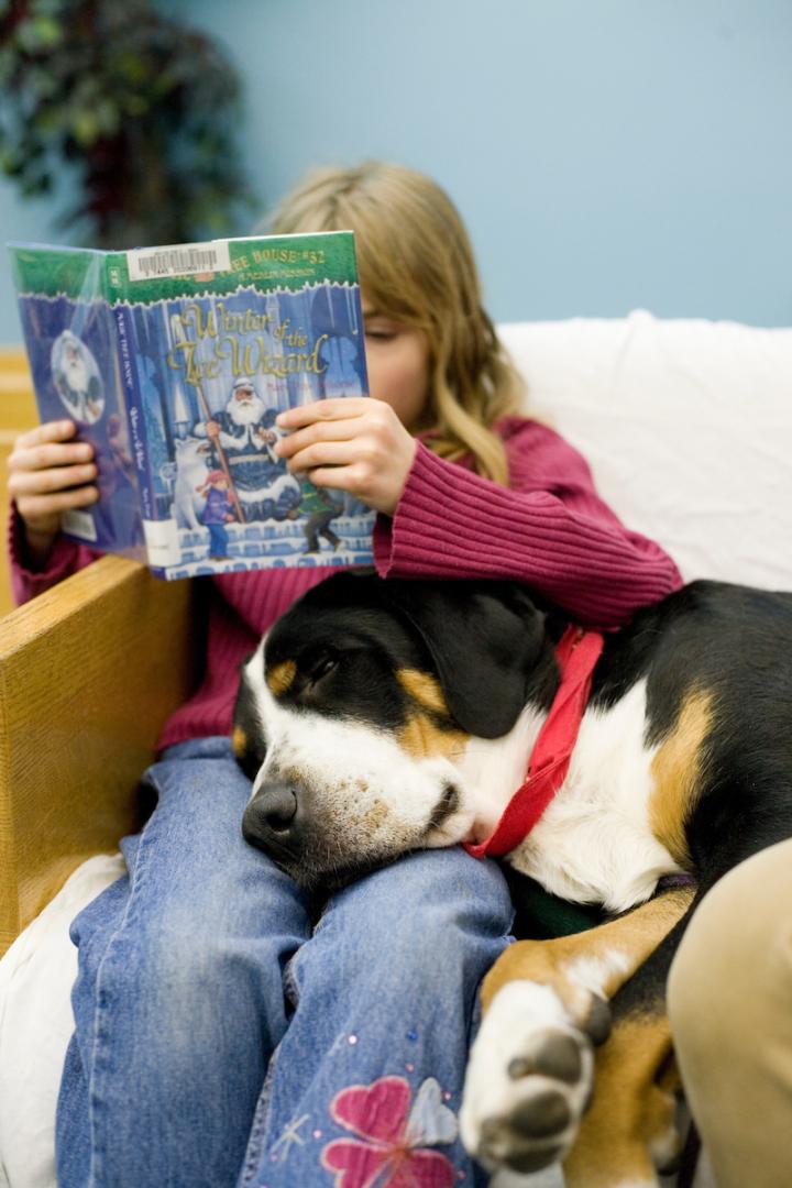 Child Reads with Therapy Dog