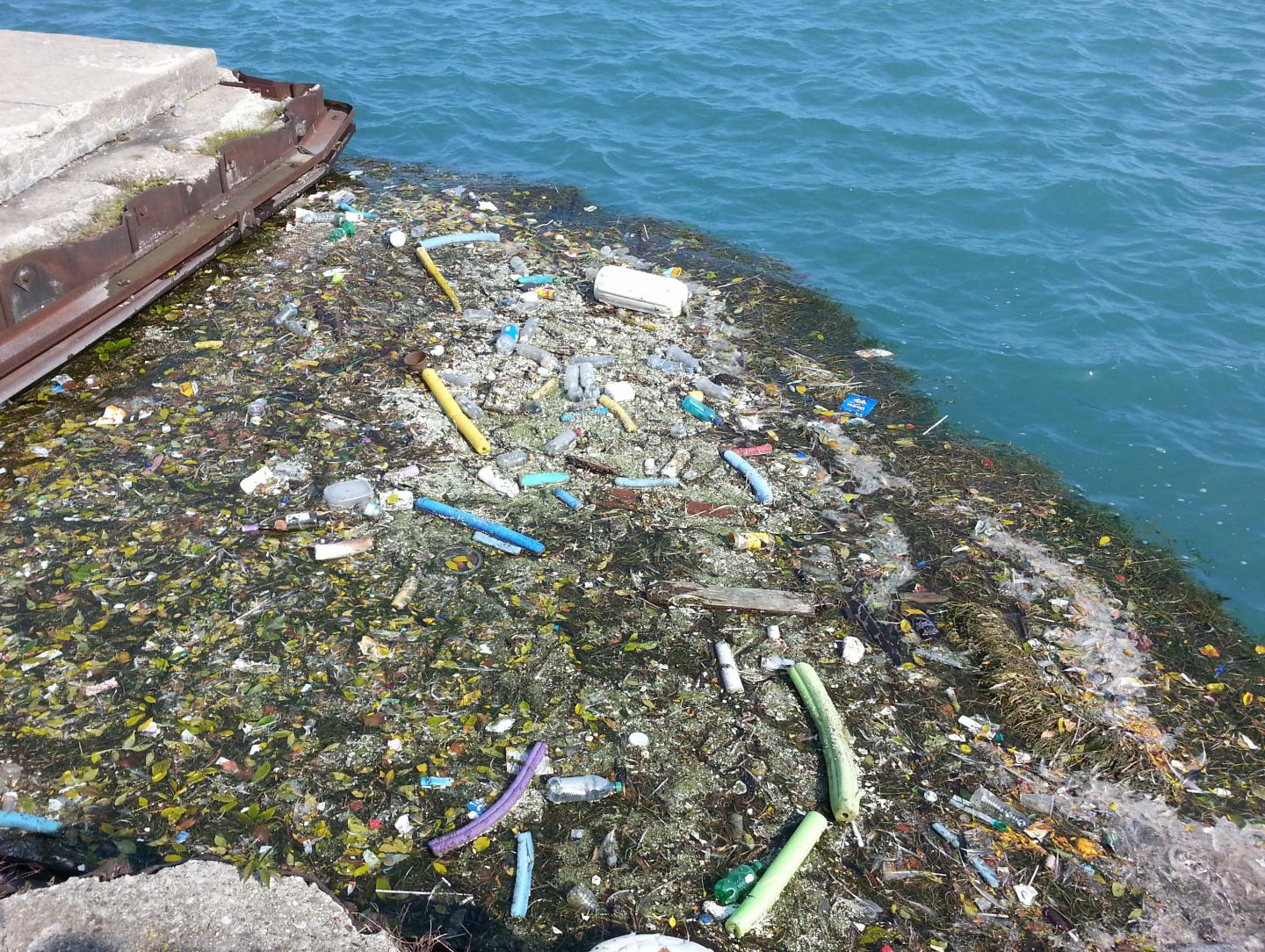 Debris at Edge of Lake Michigan