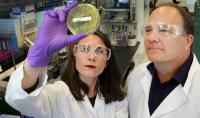 Sandia Researchers Study Bacteria Used to Produce LigM