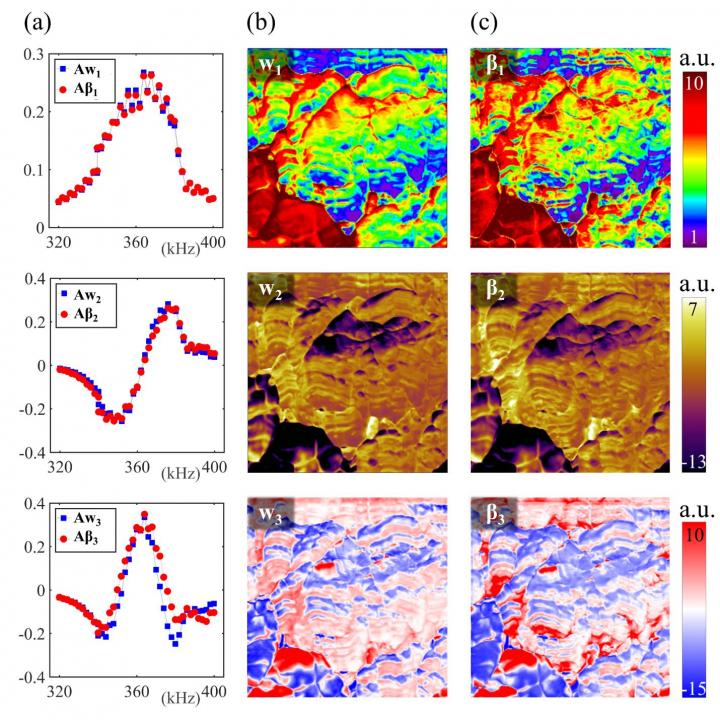 Smart Data Enhances Atomic Force Microscopy