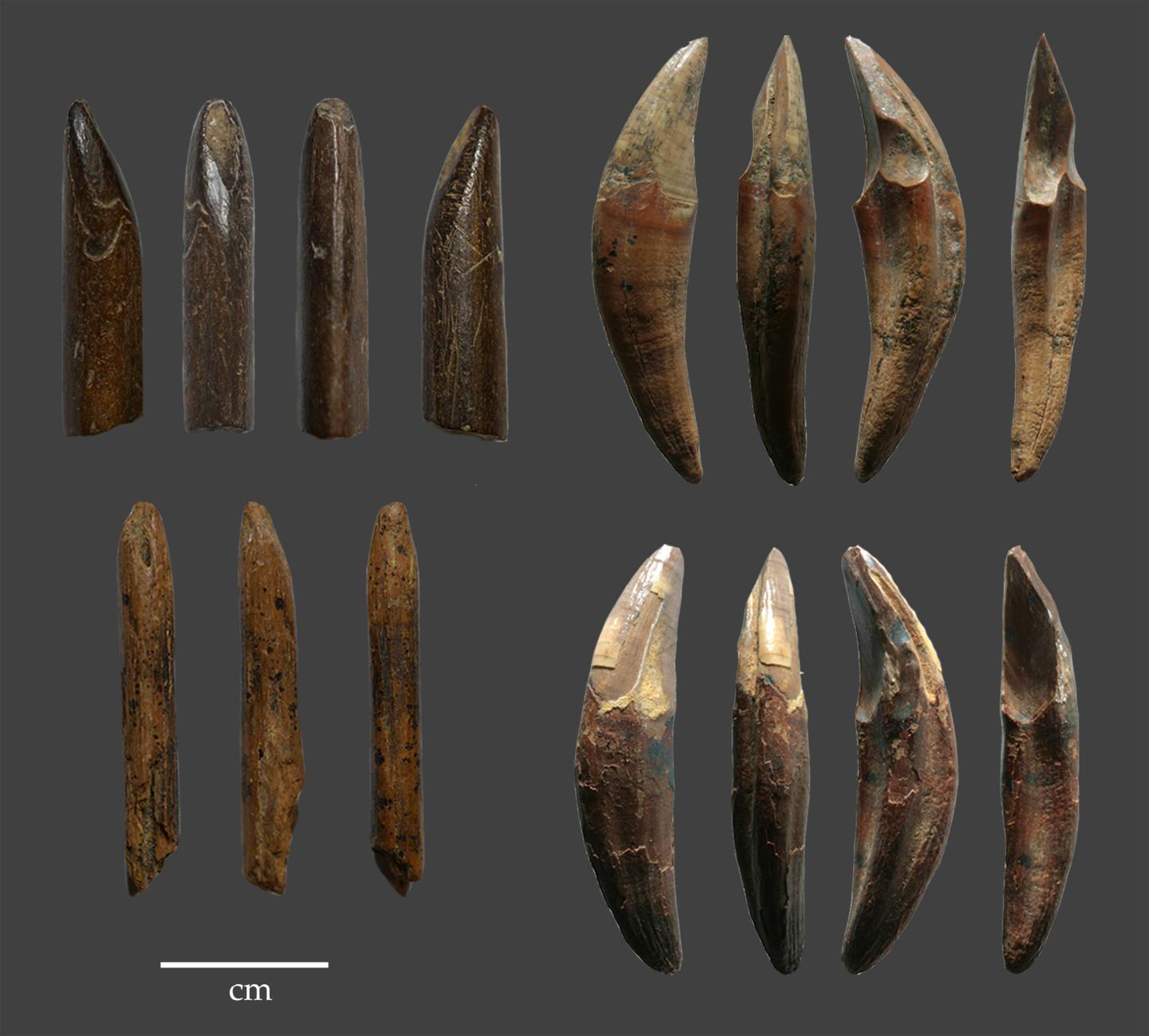 Fa Hien Bone Tools