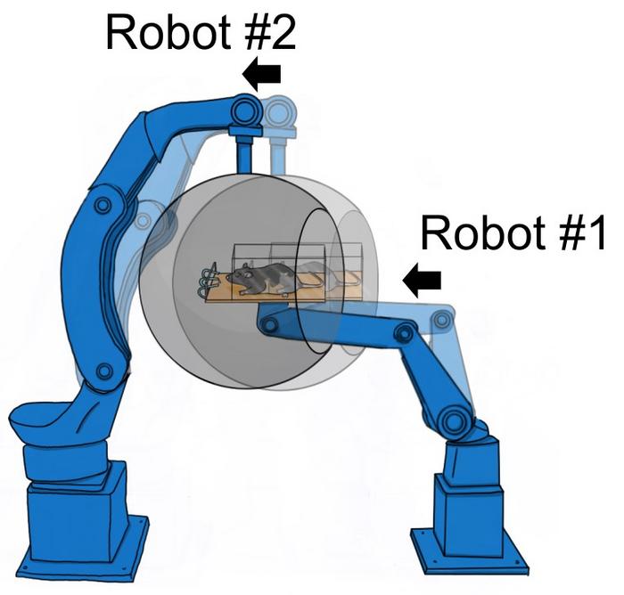 Novel motion simulator reveals key role of air flow in rodent navigation