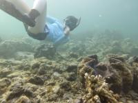 Swimming with Giant Clams