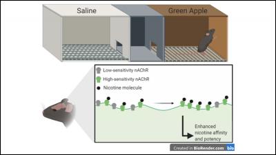 Green Apple Vape Flavorant