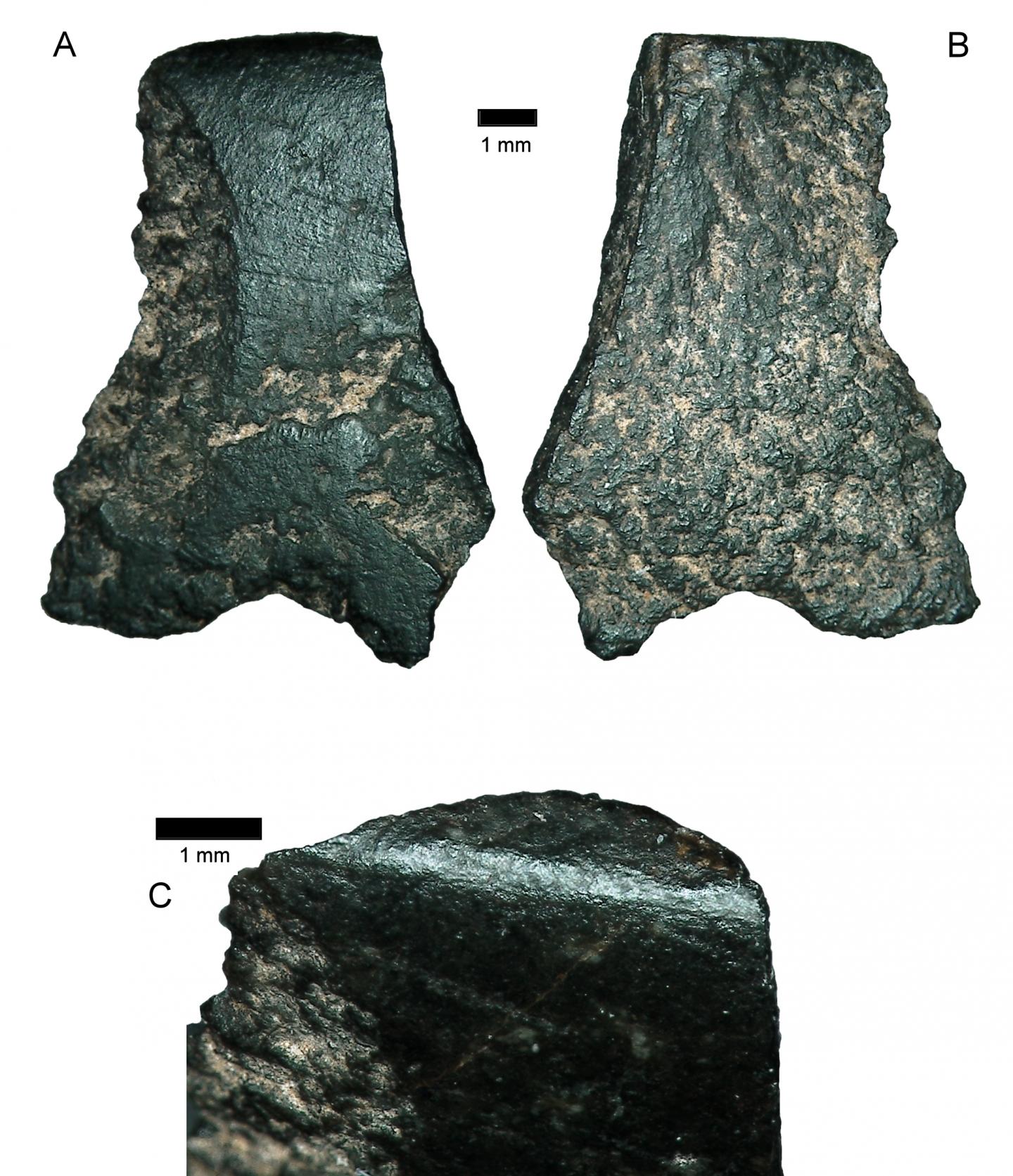 Axe Fragment