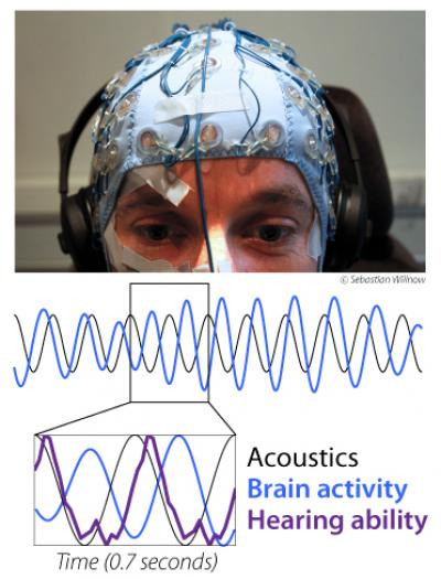 Brain-Hearing-Oscillation