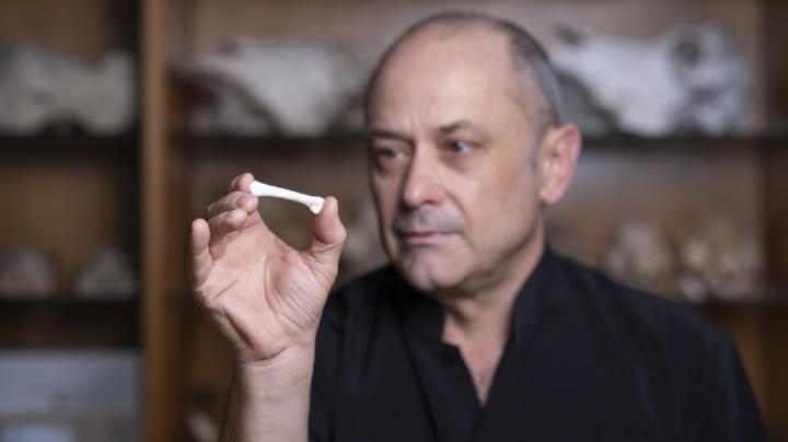 Philip Piper, Australian National University