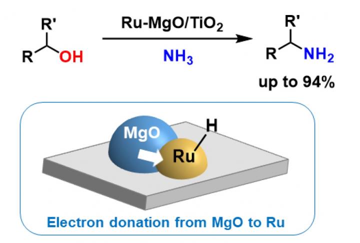 Direct Amination