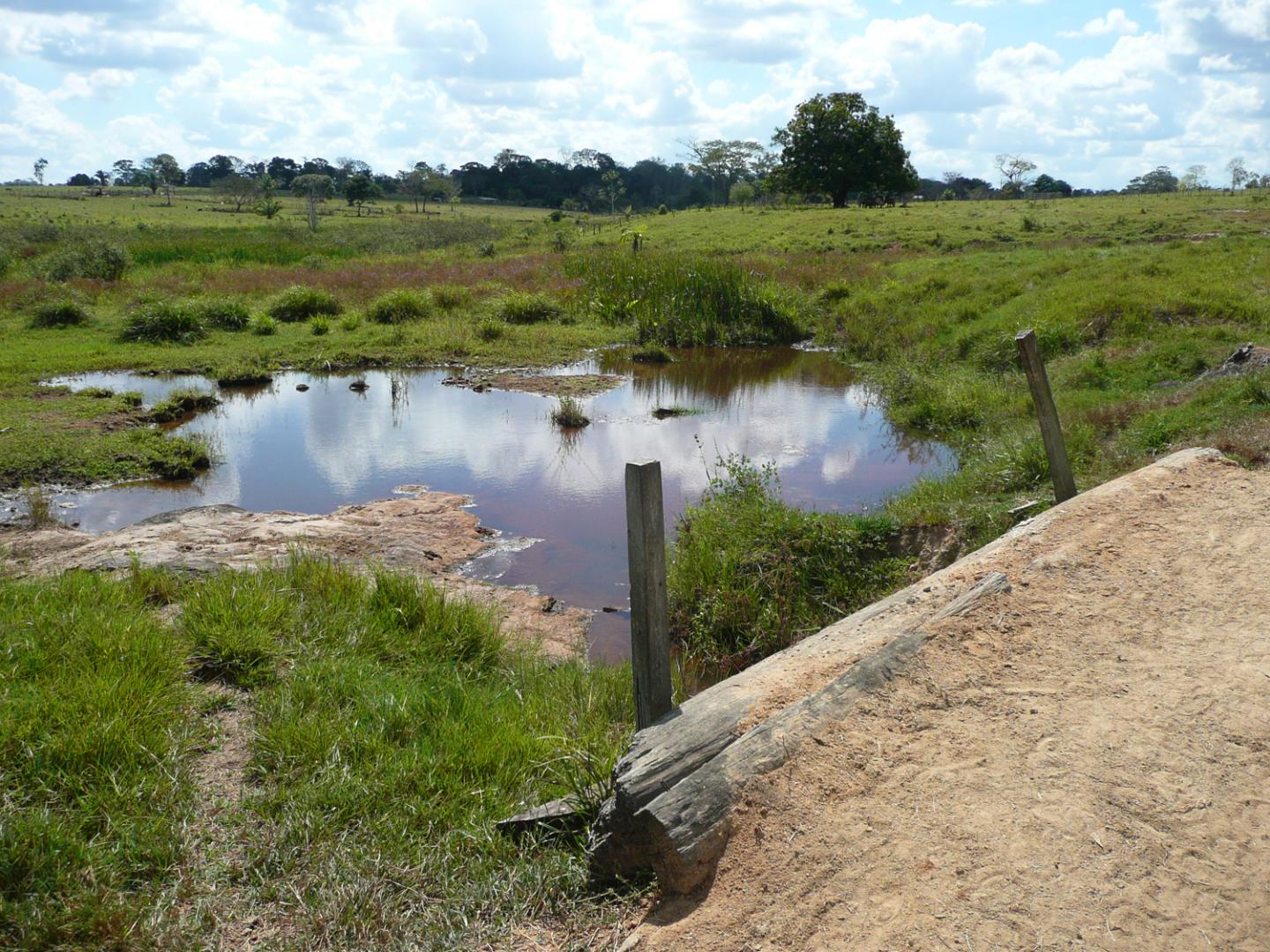 Water and Pasture