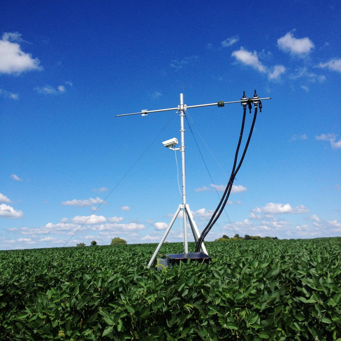 SIF Senor In Soybean Field