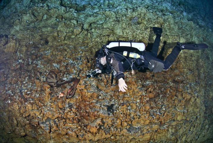Image 1 Diver Inspects the Arm Bones of a Giant Ground Sloth