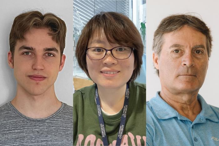 PhD Student Matthew Jachimowicz, Lab Technician Catherine Shao and Professor Henry Krause