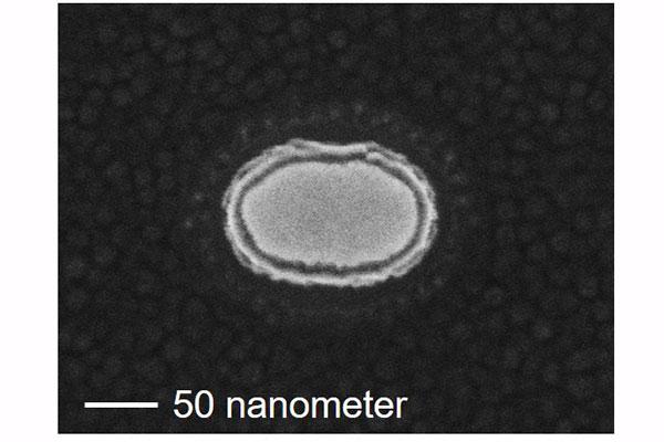 Demonstrating the World's Fastest Spintronics p-bit