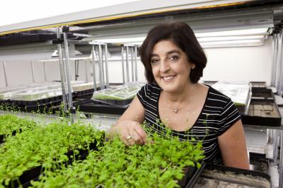 Joanne Chory, Salk Institute