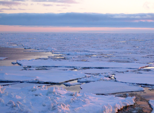 Arctic sea ice