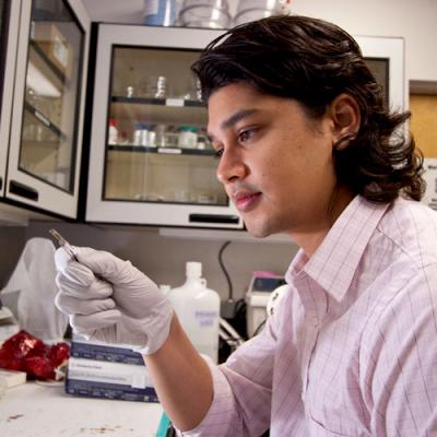 Kevin Vora, Harvard University