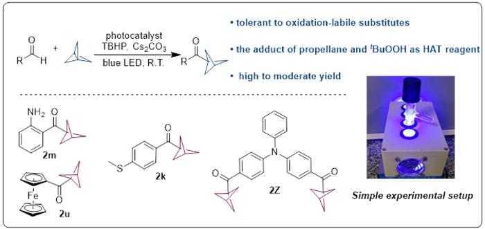 A simple and effective photo reaction device was used to synthesize BCP ketone