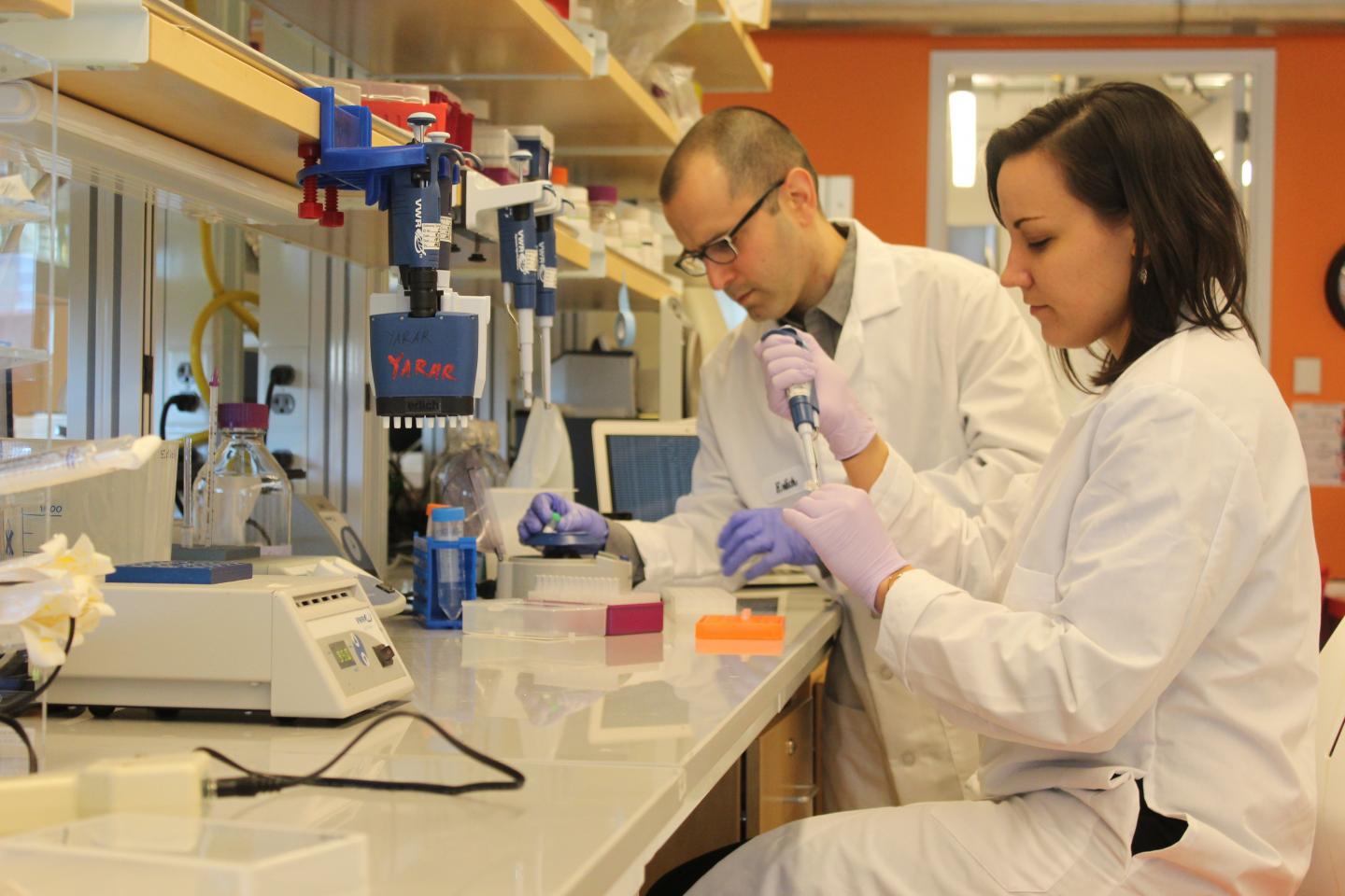 Yaniv Erlich and Dina Zielinski, Columbia University School of Engineering and Applied Science