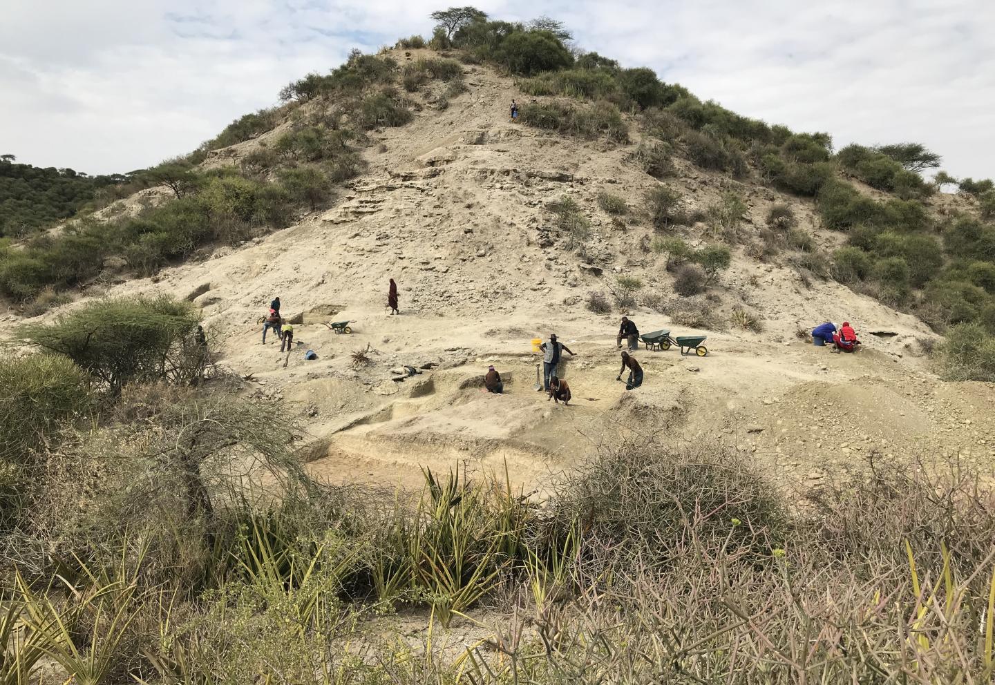 Overview of Ewass Oldupa in Olduvai (Oldupai) Gorge, Tanzania