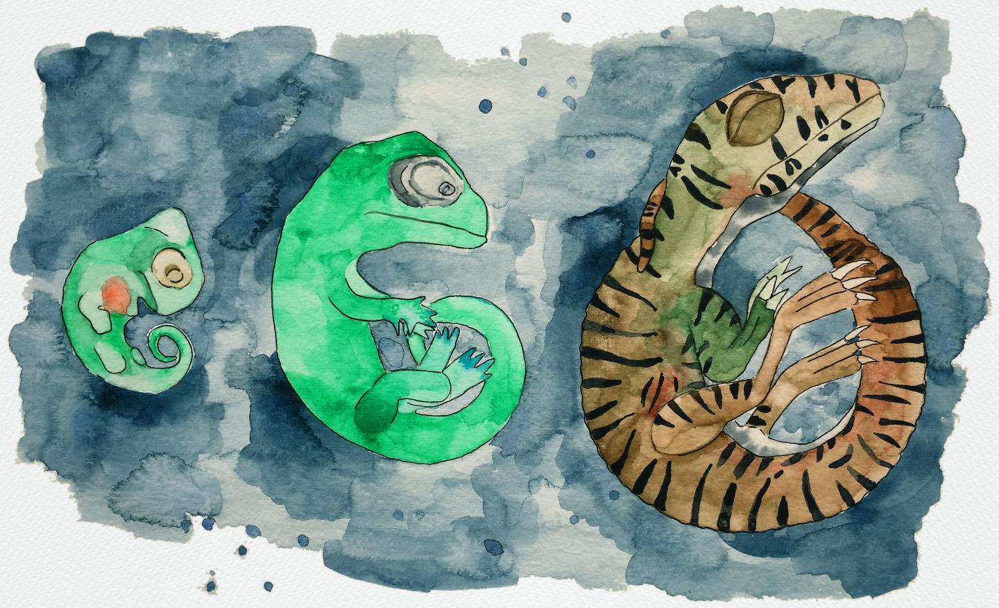 Watercolor Painting of the Massospondylus carinatus Dinosaur Embryos