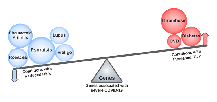 Genetic links revealed between severe COVID-19 and other diseases