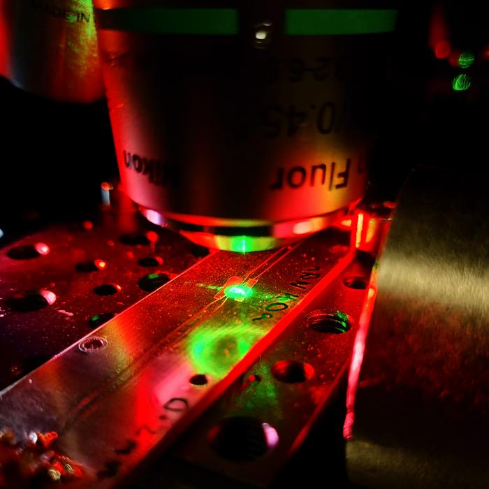 hBN quantum sensing set up