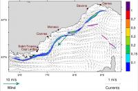 Model-based prediction of the oil drift at the sea surface (ton/km2) and beaching on 16 Oct. 2018