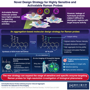 Research Overview